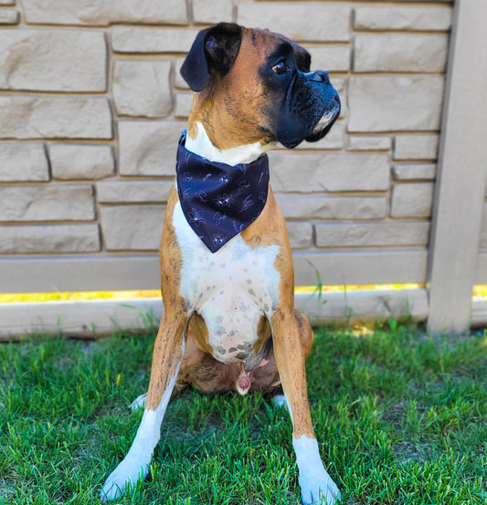 Sask Dog Bandana